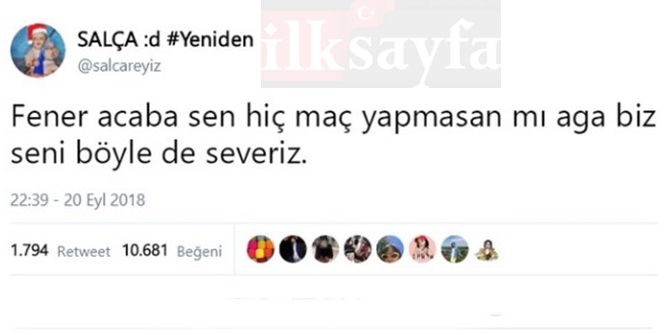 300_15.jpg