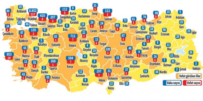 Türkiye'nin koronavirüs haritası