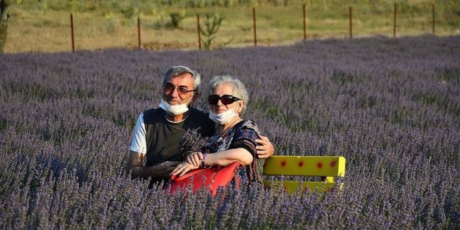 En özel anların dekoru 'mor tarlalar'