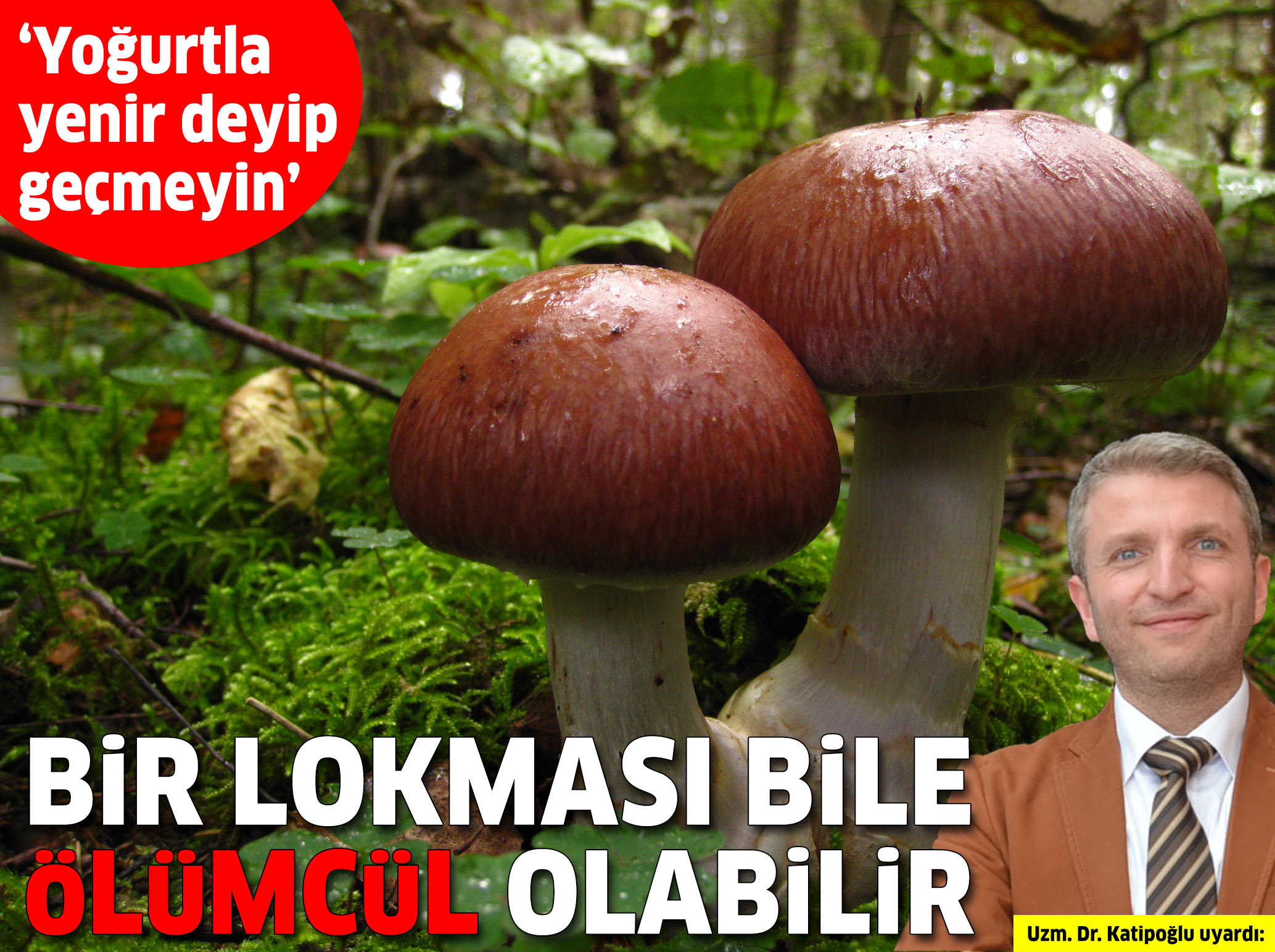 Mantar Zehirlenmesinin Belirtileri ve Tedavisi Nedir Mantar Zehirlenmesinin Belirtileri ve Tedavisi Nedir