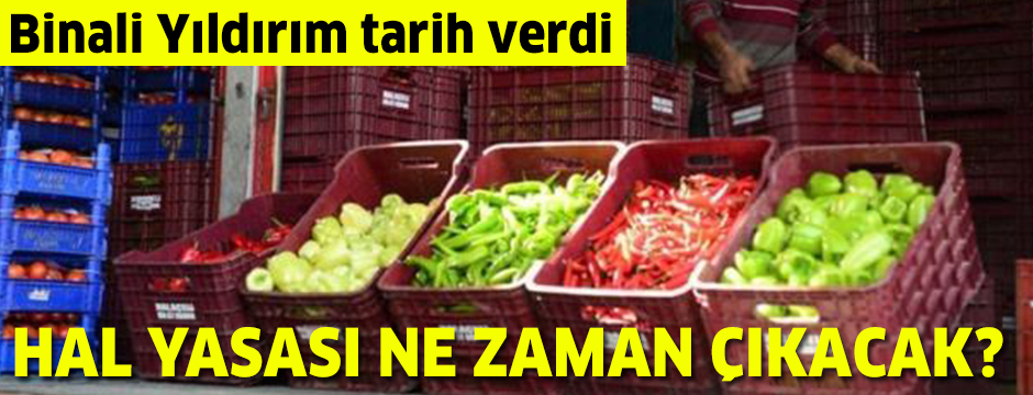 Dünyada ilk robotu kim yaptı? Cezeri kimdir, Türk mü?