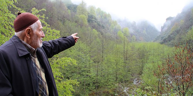 Bal ormanına 'taş ocağı' tepkisi