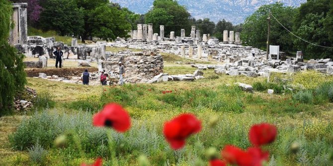 Lagina'nın sütunları ayağa kaldırılıyor