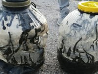 Yasa dışı sülük avcısına 73 bin lira ceza