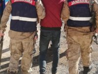 Barış Pınarı bölgesinde tarım alanlarını hedef alan YPG/PKK'lı terörist yakalandı