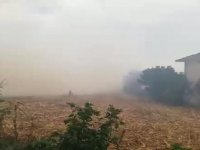 Sakarya'da 3 farklı yerde yangın