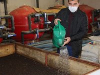 Günde 1 saat çalışarak ayda 3 ton solucan gübresi üretiyor