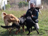 Köye yerleşerek, 'köpek oteli' kurdular
