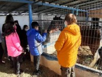 Minikler barınağı ziyaret etti