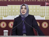 AK Parti Grup Başkanvekili Özlem Zengin'e sosyal medyadan hakarete soruşturma