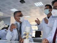 Türk bilim adamları, kudret narının kemik kırığı tedavisinde kullanılabileceğini ispatladı