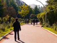 Botanik Sonbaharı Selamlıyor