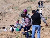 2 bin çam fidanı toprakla buluştu