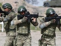 Şırnak ile Irak’ın kuzeyinde 87 terörist etkisiz hale getirildi