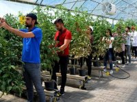 Pilot üniversite projeleri meyvelerini veriyor