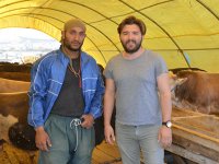 Kurban pazarında işler yolunda