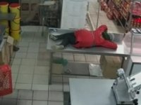 Marketi kediler bastı: Çalışan ne yapacağını şaşırdı