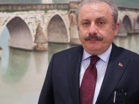 'Tanzim satışlar balon fiyatları söndürdü'