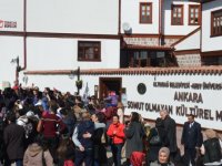 Hamamönü'nde 6. Çiğdem Şenliği düzenlendi