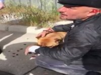 Tepki çeken olay: Köpeğini motosikletin arkasına bağlayarak sürükledi