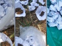 Turgutlu’da uyuşturucu operasyonu