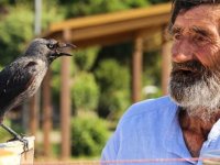 Çay tezgahında 'karga'yla servis ilgi odağı oldu