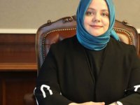Sosyal çalışma programına başvurular bugün başlıyor