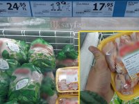 Mangallik Tavuk Fiyatlari Kanat Landi Mangallik Tavuk Fiyatlari Kanat Landi