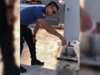 Polisin sokak köpeğine merhameti takdir topladı