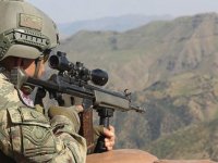 Gevaş'ta terör örgütüne ağır darbe
