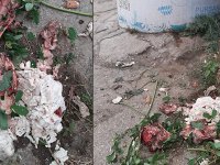 Kurban Bayramı sonrası yakışmayan görüntü
