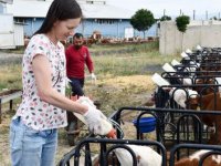 'Masa başı' işten sıkılınca kıtalar arası maceraya atıldı