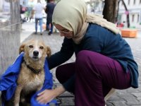 Yağmurda ıslanan köpeği kıyafetiyle kuruladı