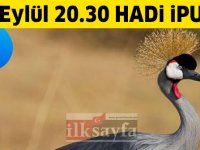 Yeni Türkü'nün Telli Turna şarkısının sözleri nedir? 17 Eylül HADİ ipucu 20.30 Müzik Gecesi