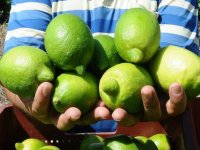 Ekşi limondan 'tatlı' gelir