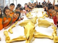 Anadolu tarihini milyon yıllık fosillerle öğreniyorlar