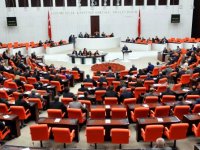 TBMM'den ABD Senatosunun karına tepki