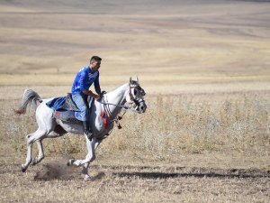 Kars'ta havaların serinlemesiyle cirit atları dörtnala sahaya sürül