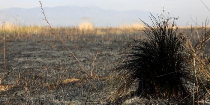 'Sazlık alan, hayvan otlatmak ve avcılık için yakıldı' iddiası