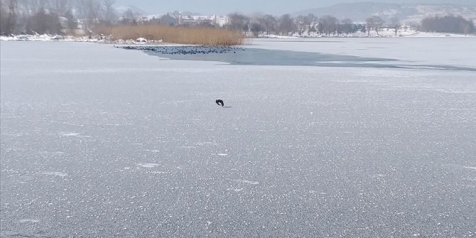 Bolu'da aşırı soğuk yüzünden çeşmeler dondu Yeniçağa Gölü buz tuttu