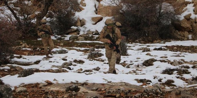 Bitlis ve Siirt'te 781 personelin katılımıyla 'Eren-11 Sehi Ormanları Operasyonu' başlatıldı