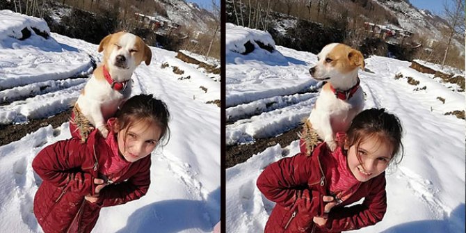 Küçük Cemre hastalanan köpeğini sırtında veterinere götürdü