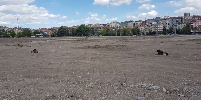 Yerine Millet Bahçesi yapılması planlana Cebeci İnönü Stadı yıkıldı