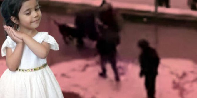 Asiye'ye pitbull saldırısında tutuklu 3 sanık, 3'üncü kez tahliye oldu