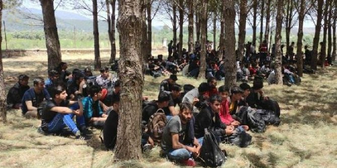 Muğla'da 237 kaçak göçmen yakalandı