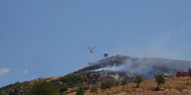 Çanakkale'de makilik yangını, ormana sıçradı