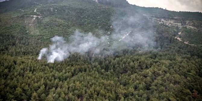 Osmaniye'de ormanlık ve örtülük alanda çıkan yangın kontrol altında