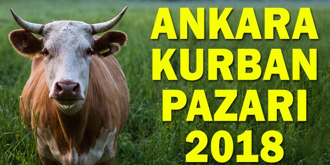 Ankara, Kurban SatÄ±Å PazarlarÄ± ve Kesim Yerleri 2018 YENÄ° LÄ°STE!