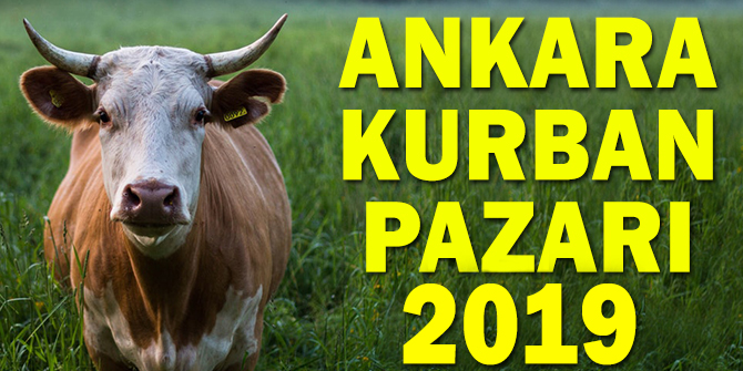 Ankara, Kurban SatÄ±Å PazarlarÄ± ve Kesim Yerleri 2019 YENÄ° LÄ°STE!