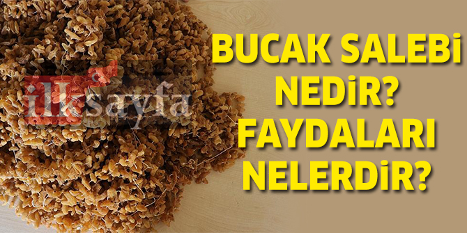 'Bucak Salebi'nin Faydaları, Hazırlanışı ve Kilo Fiyatı